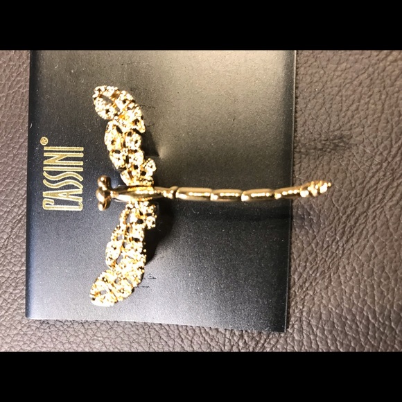 Vintage passini dragonfly pin made in the USA - Picture 1 of 3